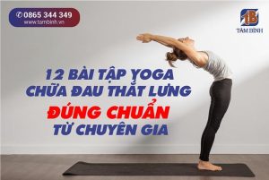 Hướng dẫn chi tiết về 12 bài tập yoga giảm đau lưng từ chuyên gia